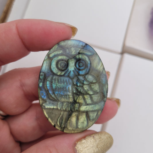 Labradorite Owl